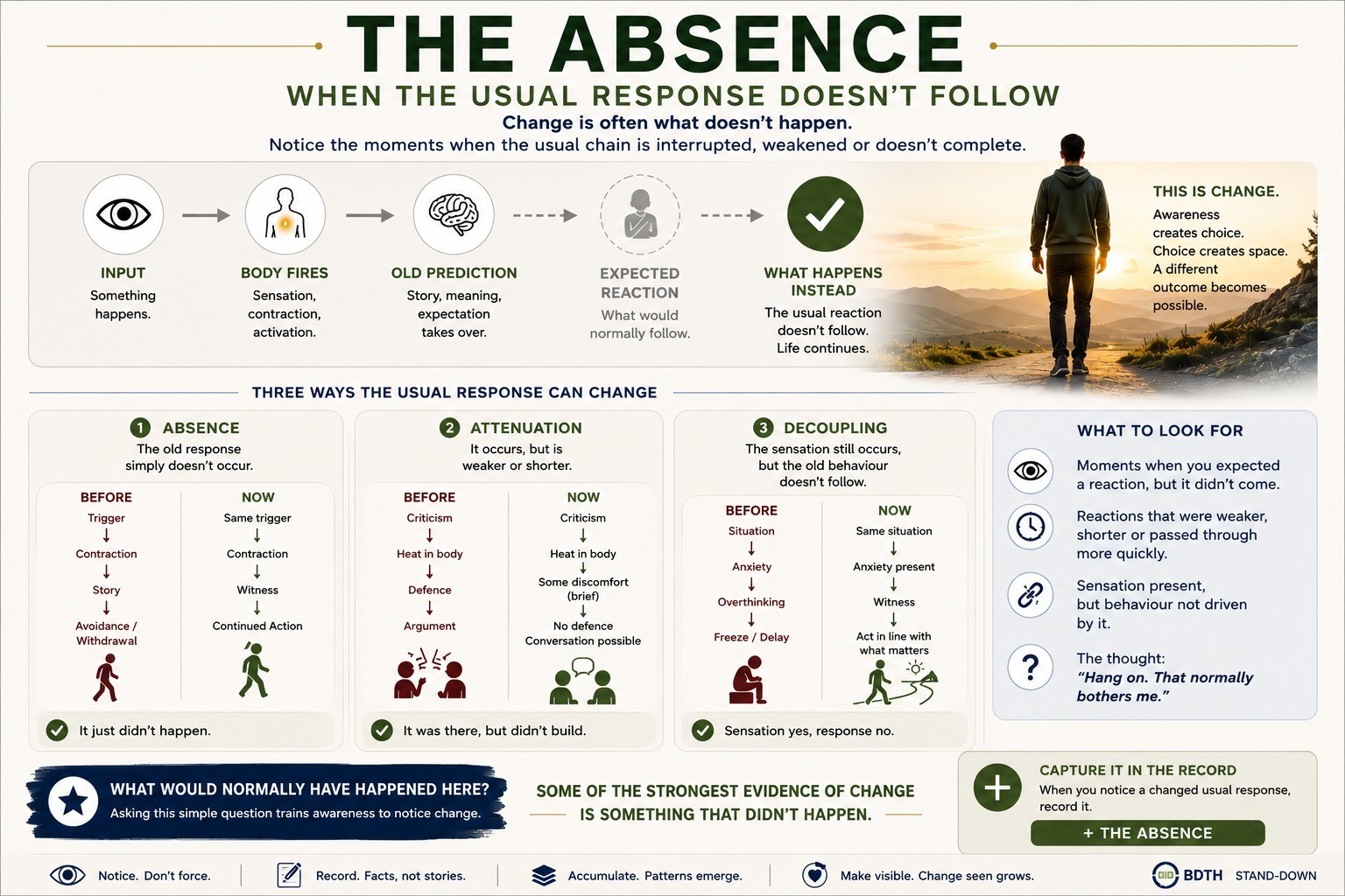 The Absence — when the usual response doesn’t follow. Change is often what doesn’t happen.